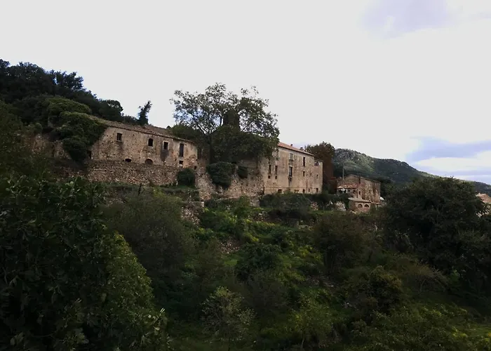 Kır Evi Requesens *